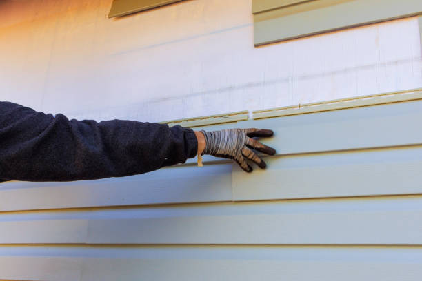 Affordable Siding Repair and Maintenance Services in Century, FL